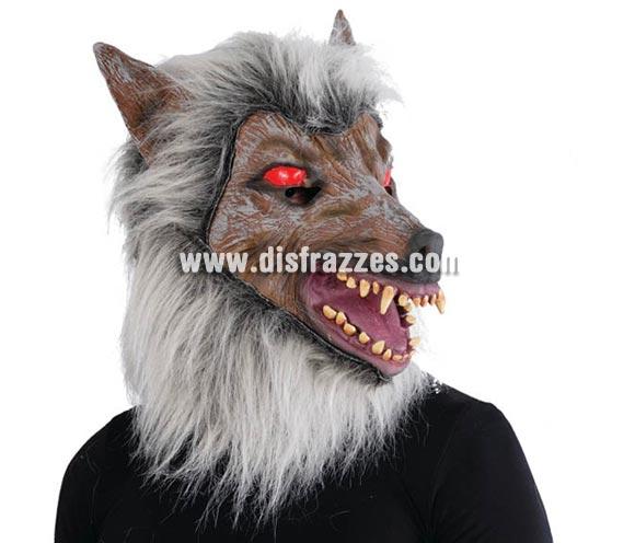 Máscara de lobo con pelo para Halloween. Se parece a la cara con la que salía Michael Jackson en Thriller cuando se convertía en Hombre Lobo. Máscara o Careta de Halloween ideal para ir de Fiesta la Noche de las Brujas a Pub's, Discotecas, Casas particulares o Restaurantes y ayudar a crear un ambiente terrorífico y tenebroso en la Fiesta de Halloween.
¡¡Cómpranos tu careta o tu máscara para Halloween, será divertido!!
¡¡¡PRÓXIMA RECEPCIÓN DE ÉSTE ARTÍCULO A PARTIR DE SEPTIEMBRE DE 2010!!!
