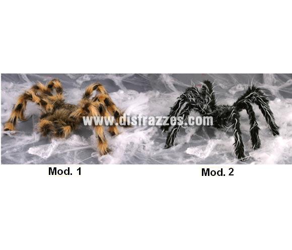 Araña Tarántula peluda gigante de 60 - 70 cms. para Halloween. Dos modelos surtidos. Precio por unidad, se venden por separado. Artículo muy apropiado para decoración de Halloween en Discotecas, Pubs, Restaurantes, Colegios y Casas particulares y así crear un ambiente terrorífico y tenebroso típico de la Fiesta de Halloween cada vez más seguida por todos.
¡¡Compra la decoración para Halloween en nuestra tienda de disfraces, será divertido!!
