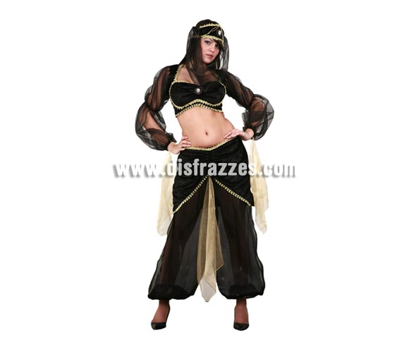 Disfraz de Bailarina del Harem para mujer. Talla única 438/42. Incluye top, pantalones, cinturón y tocado con velo. Un disfraz muy sexy. Disfraz de Bailarina de la Danza del Vientre para mujer.