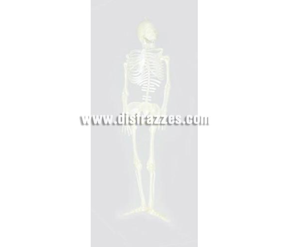 Esqueleto fluorescente de 32 cms. Artículo muy apropiado para decoración de Halloween en Discotecas, Pubs, Restaurantes, Colegios y Casas particulares y así crear un ambiente terrorífico y tenebroso típico de la Fiesta de Halloween cada vez más seguida por todos.
¡¡Compra la decoración para Halloween en nuestra tienda de disfraces, será divertido!!
